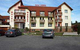 Hotel Mures